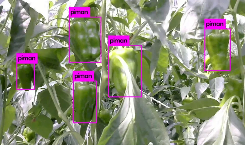 AGRIST